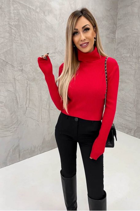 Ribbed turtleneck sweater, red
