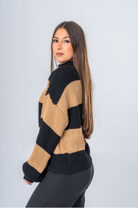 Pull col montant grosse maille tressée rayé marron - vue profil